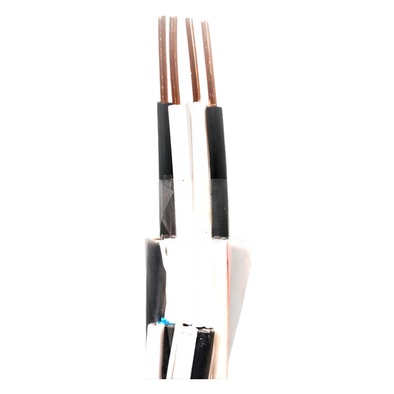 Copper Core Polyethylene Insulated Copper Wire Braided Separate Shield And Total Shield PVC Sheathed Computer Cable DJYVP